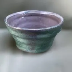 陶器 植木鉢 鉢 盆栽鉢 塊根植物 多肉植物　11