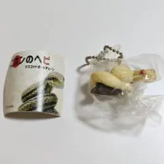 ニホンのヘビ　マスコットボールチェーン　アオダイショウ(アルビノ)のサムネイル