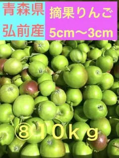 ⑧青森県弘前産 摘果りんご 約10kgのサムネイル