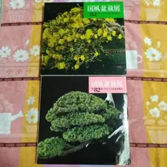 国風盆栽展 第81回 第82回 図録 2冊セット - メルカリ