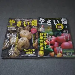 Item thumbnail for item 097227d2-7e4b-4a7c-984c-f2832134d5dc