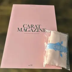 SEVENTEEN CARAT MAGAZINE vol.14