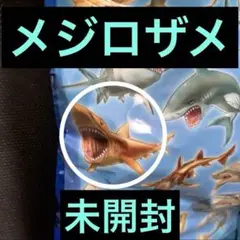 メジロザメ　未開封 シャーク　&co デアゴスティーニ　アンドコ