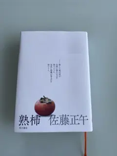 熟柿 佐藤正午 KADOKAWA