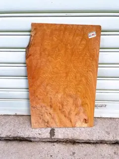 Item thumbnail for item 2f22dc0d-2504-4120-be2a-9a2f46b86801