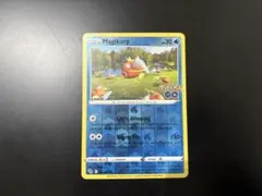 コイキング　海外　ポケカ