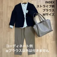 ストライプ バルーンスリーブブラウス