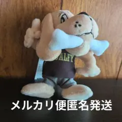 GALFY ガルフィー ぬいぐるみ キーホルダー - メルカリ