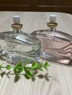 ジャンヌアルテス カッサンドラローズインテンスとホワイトローズ　2点セット