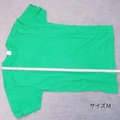 Item thumbnail for item 749eaf55-dd3e-4312-b193-2dae8bc636c2