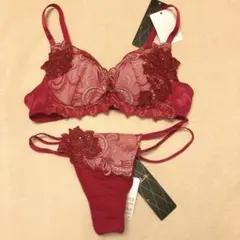 ★新品 Salute 62G ブラジャーショーツセット C70 M KO サルート」の人気商品一覧 | 安い商品を通販サイトから探す - 価格.com