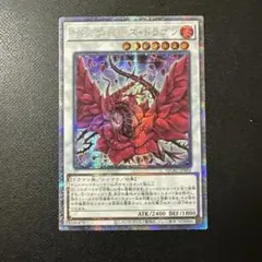 ブラックローズドラゴン　25th クオシク