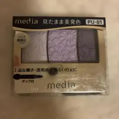 Kanebo media グラデカラーアイシャドウ PU-01のサムネイル