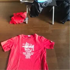 stussy champion コラボT
