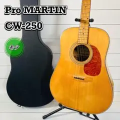 極美 オベーション CS257 エレアコ 純正ハードケース付 キルテッド