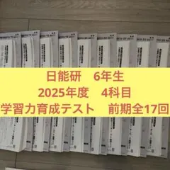 2026年最新】日能研 テスト 6年の人気アイテム - メルカリ