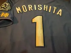 Item thumbnail for item 7b7ffa78-0ca0-4d9a-a924-18b9124ee8f0