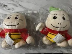 ボートレース丸亀　競艇　直筆サイン入り　セット