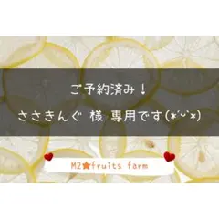 【ꕤ603】不知火デコ【訳あり品☆加工原料】10kg 熊本みかん