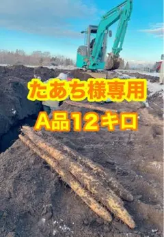 たあち様専用 A品 12kg