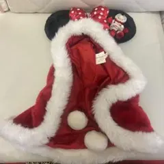ディズニー ファンキャップ クリスマス