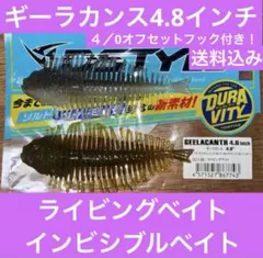 2026年最新】ギーラカンス 4の人気アイテム - メルカリ