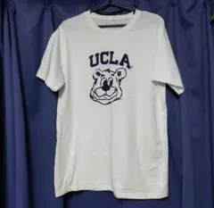 UCLA Tシャツ アメカジ 白 XL クマ カレッジのサムネイル