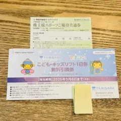 たんばらスキーパーク リフト券 大人2枚 子供1枚