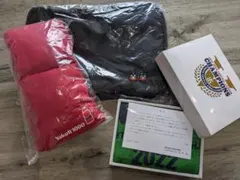 Item thumbnail for item 242b9277-b6f5-4d15-ab25-29d40be3bec5