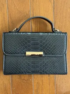 クロコダイル風ブラックレザーミニバッグ