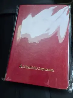 Item thumbnail for item 77fcf4d9-0f6e-481b-8a4e-85b4c6bec1b8