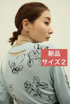 Item thumbnail for item 4d21c16d-852b-4b9f-b76b-f4c6b7805d76