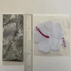 Item thumbnail for item 273447c9-157b-4c37-99db-50ebdb433b52