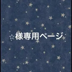 ⭐︎様専用ページ