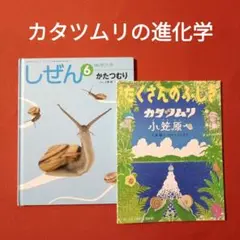 たくさんのふしぎ　キンダーブックしぜん　ウナギとりの夏　うなぎ　みやわきまさお たくさんのふしぎ キンダーブックしぜん ウナギとりの夏 うなぎ みや