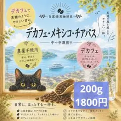 デカフェ メキシコ・チアパス 無農薬 自家焙煎珈琲豆 200gのサムネイル