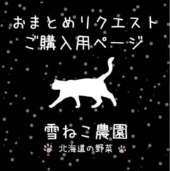 なお様 リクエスト 2点 まとめ商品