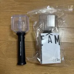 タイムレス　ペンライト　2個セット