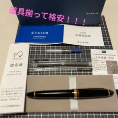 パイロット 万年筆 14K-585 5号 SF ペンケース・インクカートリッジ付