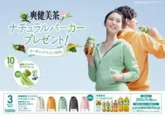 爽健美茶　パーカー　爽健美茶当選品　パーカー　当選証書付き