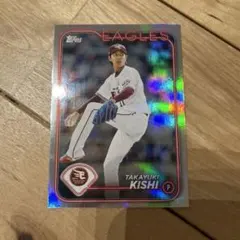 Item thumbnail for item 909c4bbc-5404-487c-bf72-741a9214d153