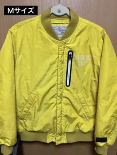 Item thumbnail for item b06f144a-afc4-4217-b682-c90d7b652f17