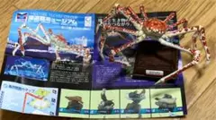 2025年最新】海遊館 タカアシガニの人気アイテム - メルカリ