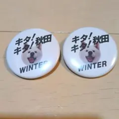 Item thumbnail for item eb7046f7-ea8a-40ef-b947-fe978860e7e9