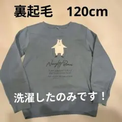 洗濯したのみ！裏起毛トレーナー 120cm クマがかわいい　水色　匿名配送