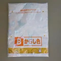 ミッフィー　お買い物きんちゃくトート フジパン