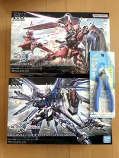 HG ライジングフリーダム HG イモータルジャスティス ガンプラ　ニッパー付き