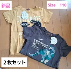 新品110 　恐竜　半袖　Tシャツ　2枚セット　男の子