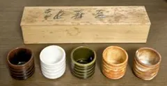 【木箱付き】和食器 陶芸 ぐい呑み / お猪口 色変わり5客セット 茶器 湯呑