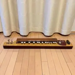 YAMAHA 大正琴 TH-10 本体 ケース・チューナー付 - メルカリ